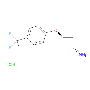 1380279-81-1