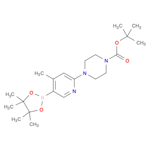 1073355-13-1