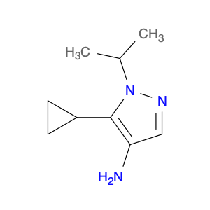 1006496-39-4