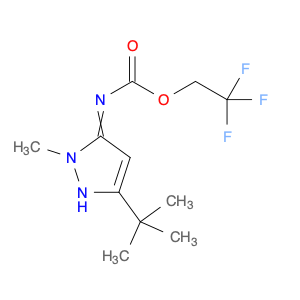 1955564-20-1