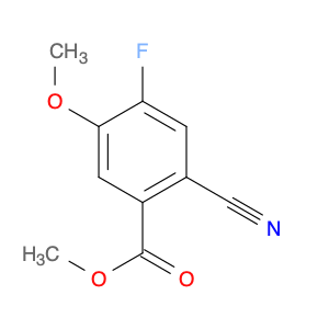1007455-23-3