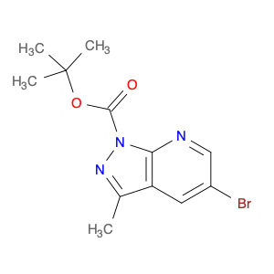 916258-24-7