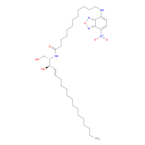 202850-01-9